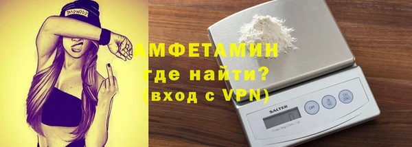 шишки Магас