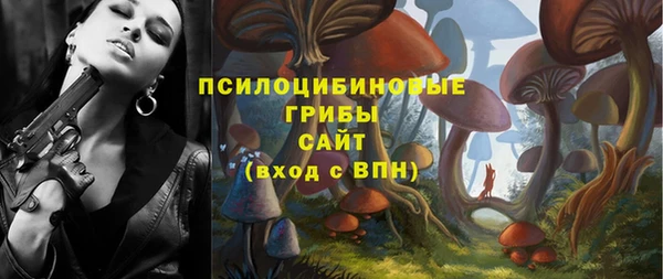 стафф Майский